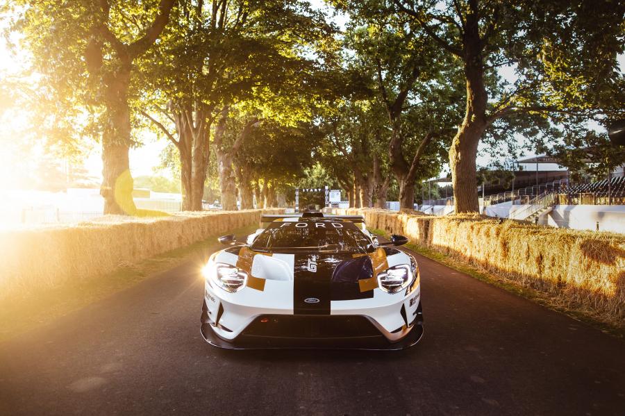  Ford GT MK II 2019 года  (фото 3 из 51)